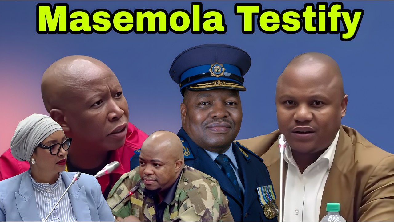 General Fannie Masemola testifies at Ad Hoc Committee for last time.