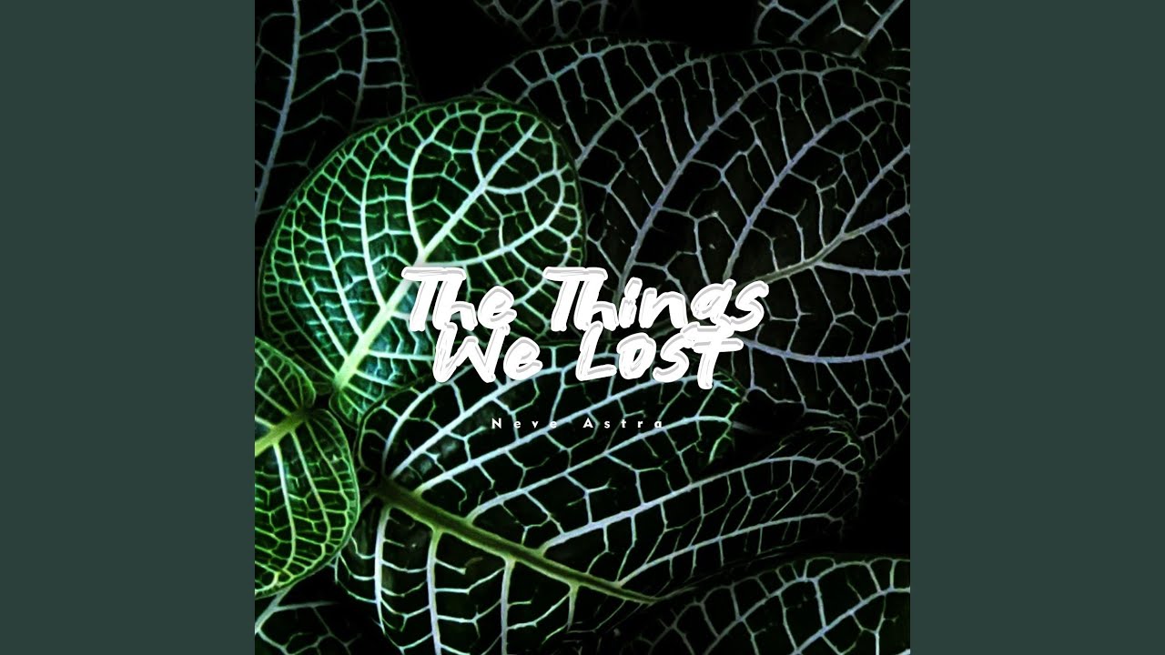 The Things We Lost