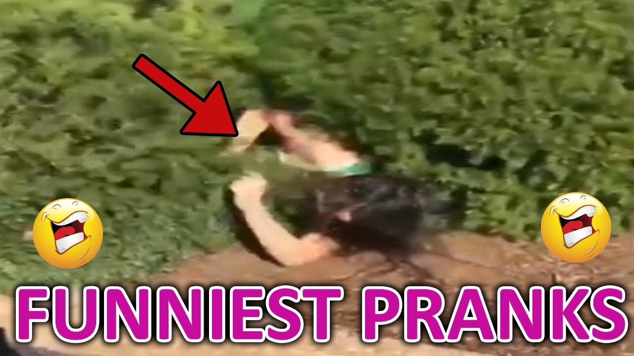 TRY NOT TO LAUGH - Bad Day? Funny Pranks Videos to Make Your Day!