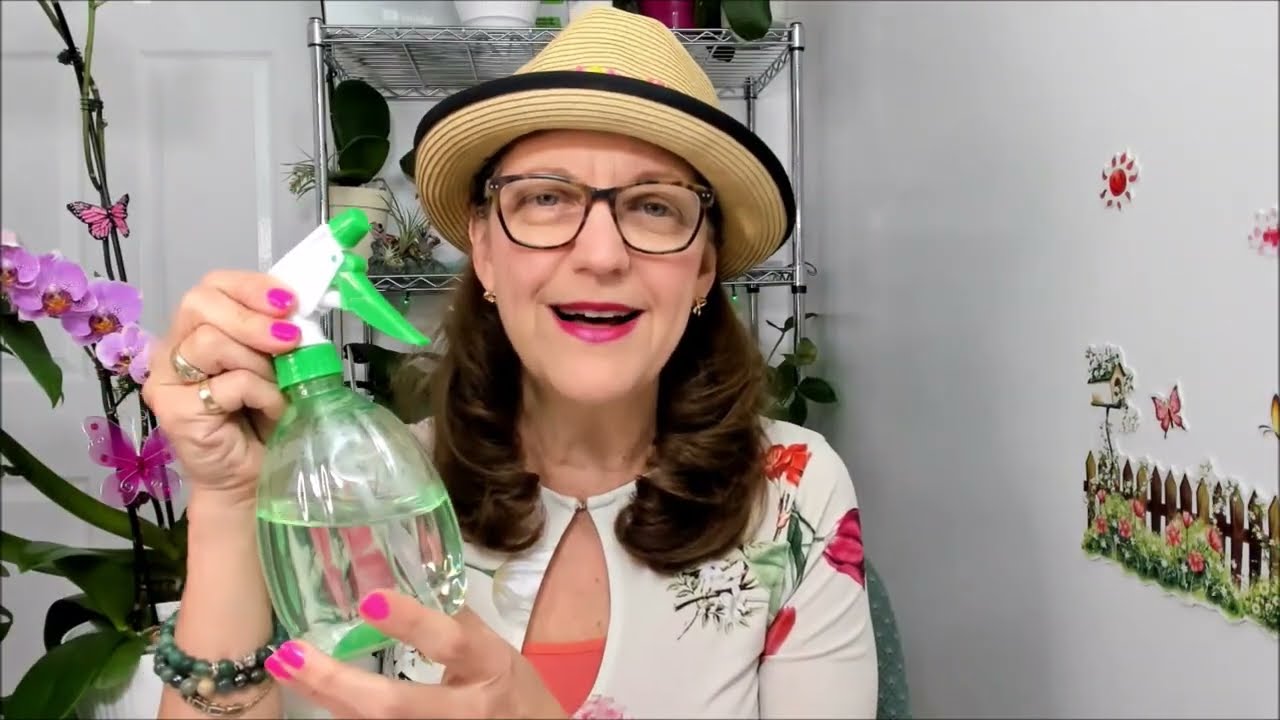 Como mantener la humedad en sustrato de orquidea para que no se deshidrate con rociador #367