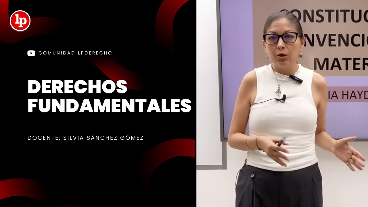 Curso gratuito: Control Constitucional y Derechos Fundamentales