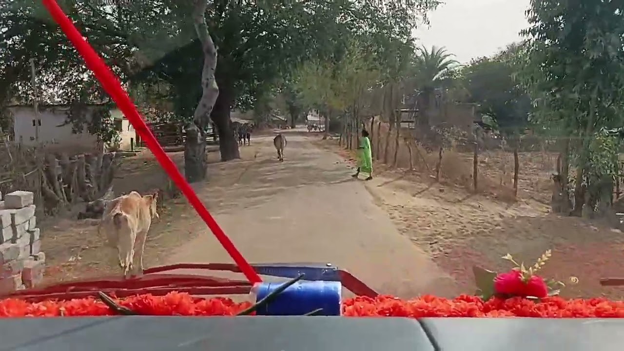 सालेमेटा में टेंट यशवन्त ठाकुर ब्लोग😱
