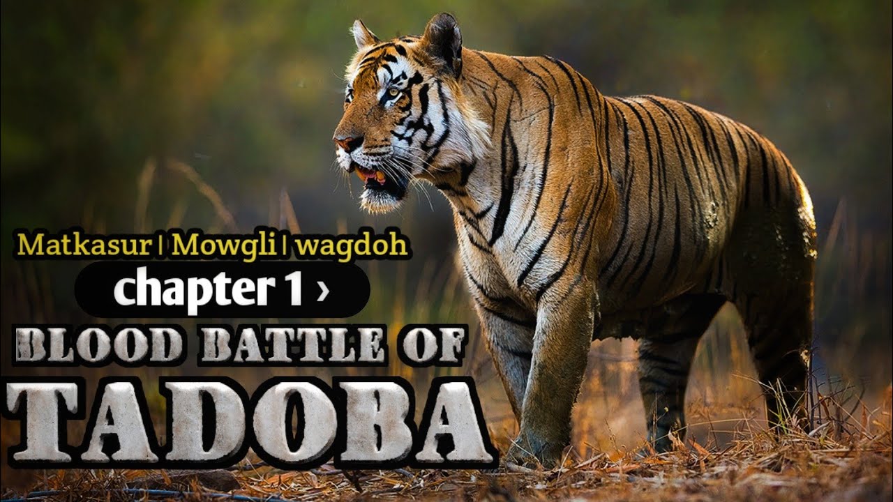 The Bloody Battle of Tadoba - Rise of The Five Kings। Chapter 1। Facta Phylum