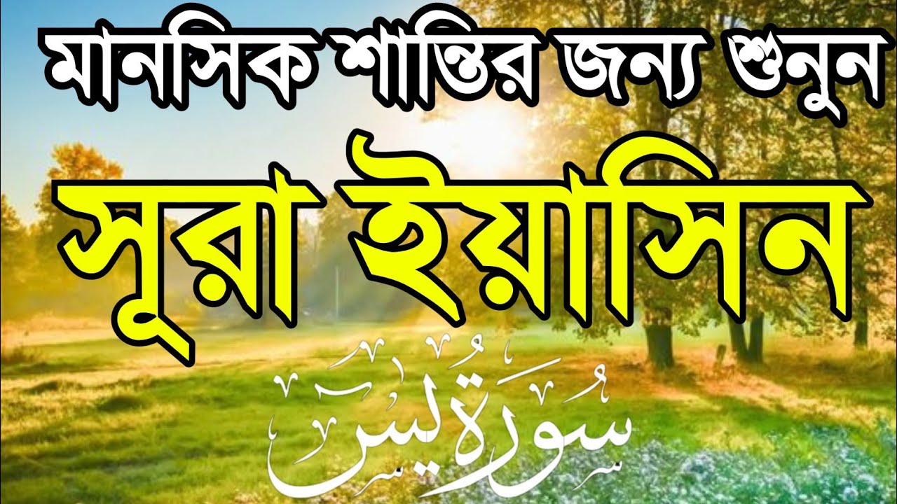মানসিক শান্তির জন্য সূরা ইয়াসিন শুনুন | হৃদয়ছোঁয়া তিলাওয়াত | mhr Quran TV।