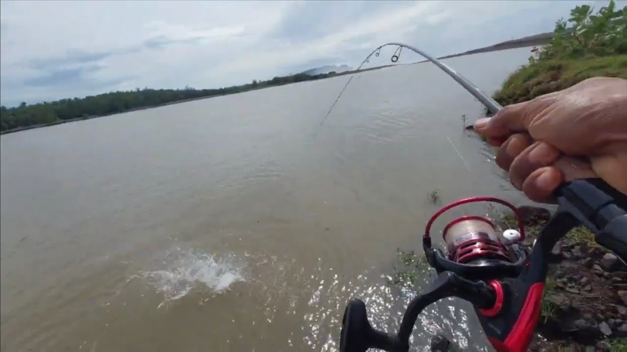 Mancing di hantam badai ikan babon menyerang