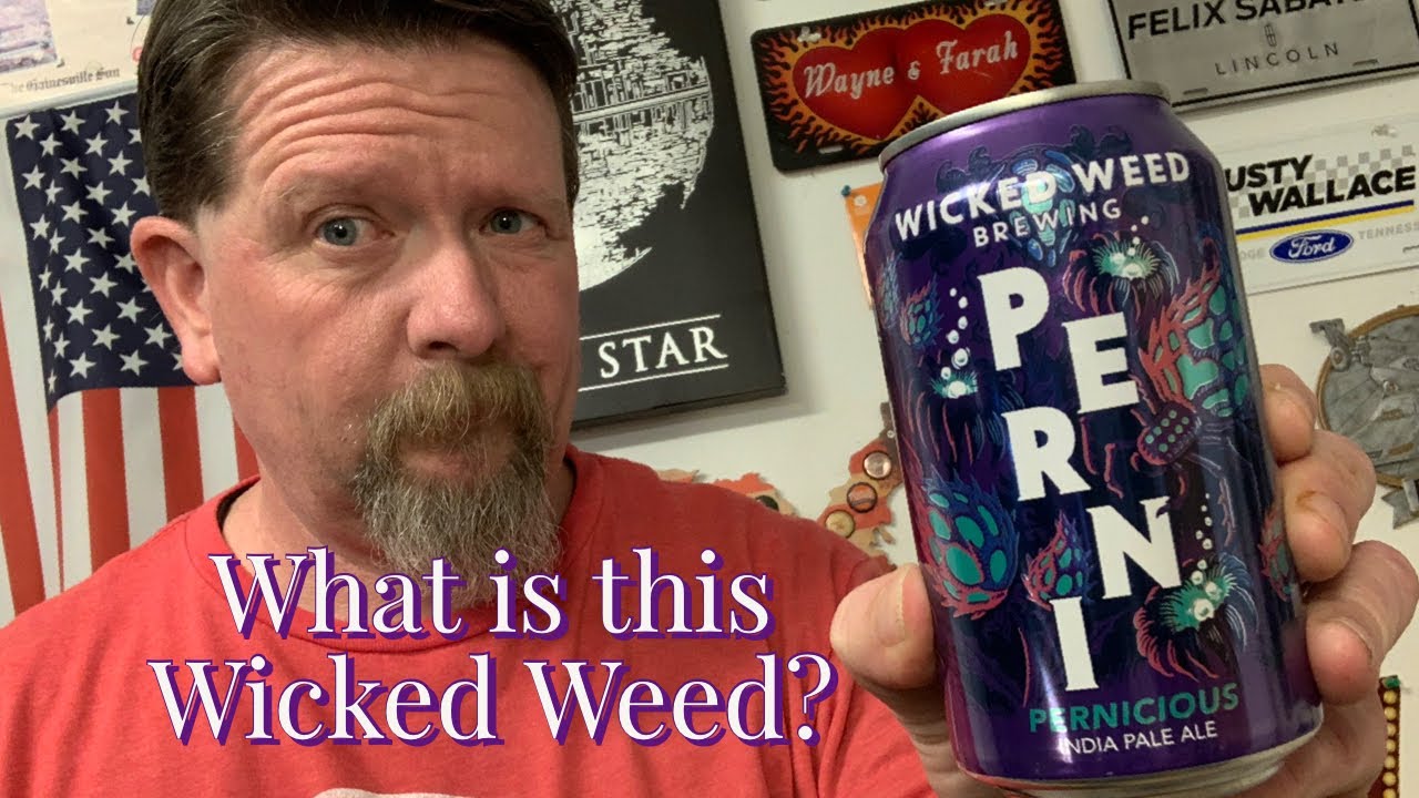 Pernicious IPA - Wicked Weed Brewing - Beer Review 164