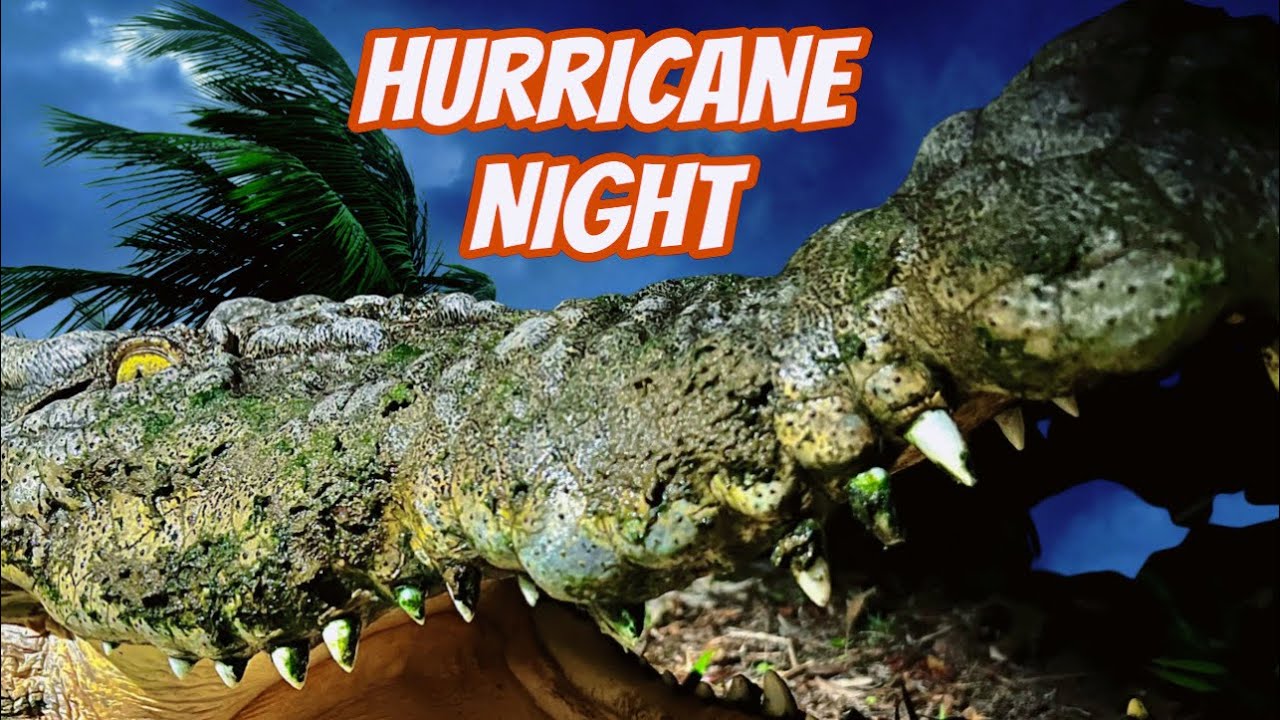 Overnight in a Hurricane with 2000 Alligators & Crocodiles‼️