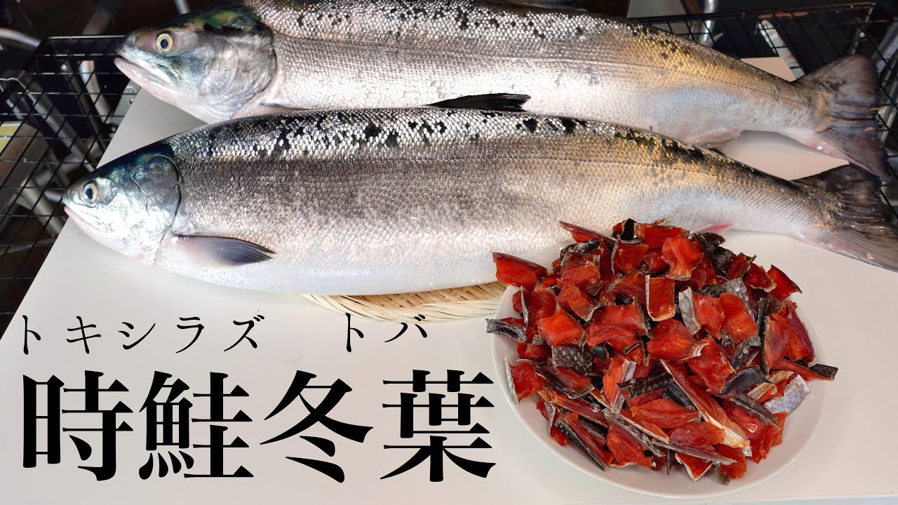 【酒の肴】トキシラズで鮭とば作ってみた｜How to make Salmon Jerky｜
