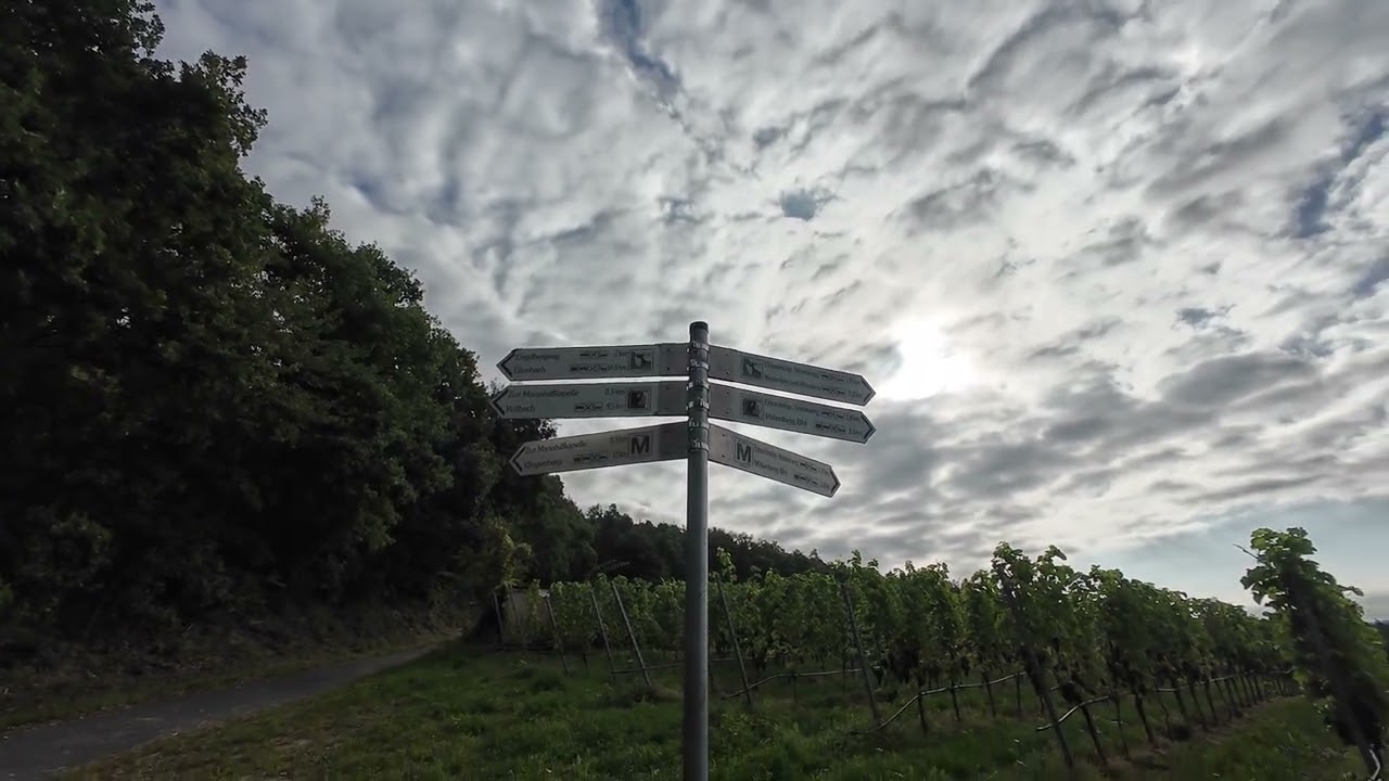 Abzweigung Promilleweg Großheubach - Spaziergang in Richtung Wassum/Martinsbrücke Miltenberg-Nord