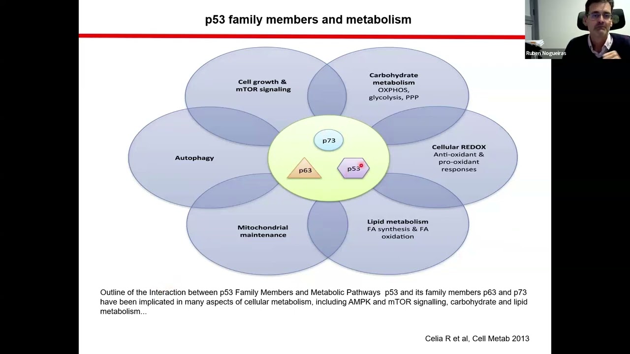ESE Spotlight on Science -Metabolic dysfunction associated steatotic liver disease-Ruben Nogueiras