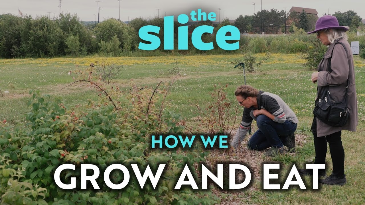Food Forest - How We Grow and Eat Together