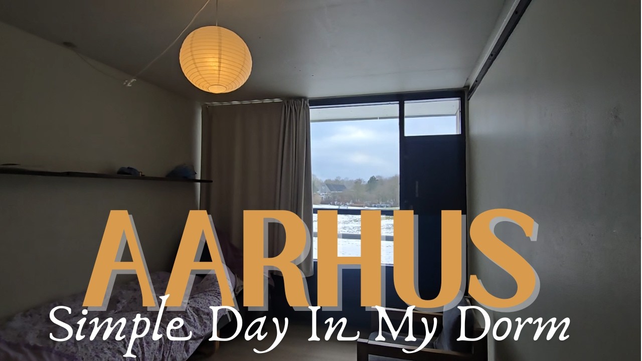 A Simple Day in My Dorm Aarhus, Denmark | A Quiet Winter Day | Vlog #1