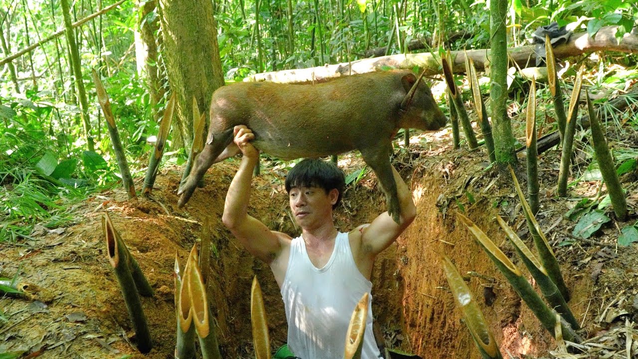 A wild boar caught in a trap, CEO left the city for the forest, Living in the wild