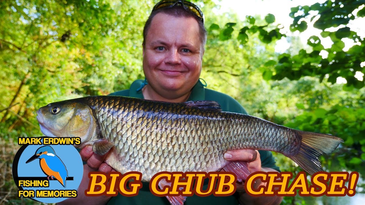Chub Fishing - The Chevin Chase (Video 99)