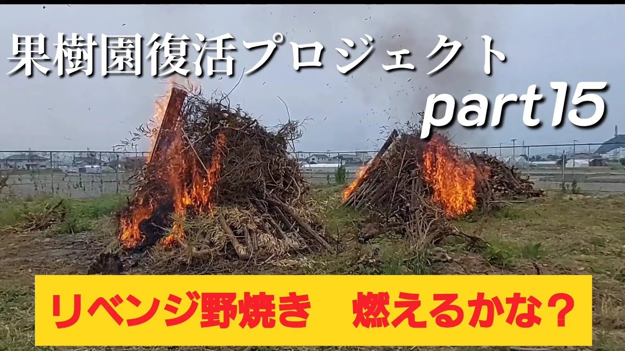 果樹園復活プロジェクトpart15 リベンジ野焼き　燃えるかな？