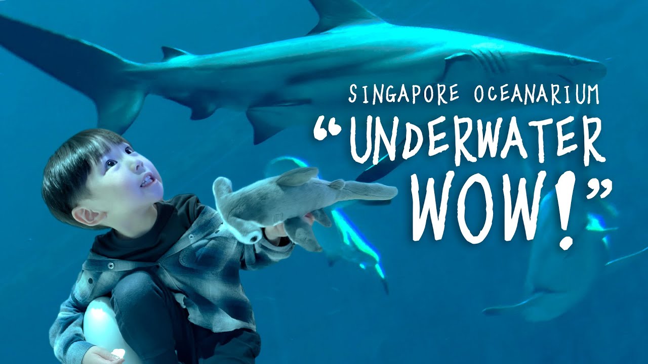 Kids Visit Singapore Oceanarium! Lyric’s Surprise Adventure (Oct 2025)