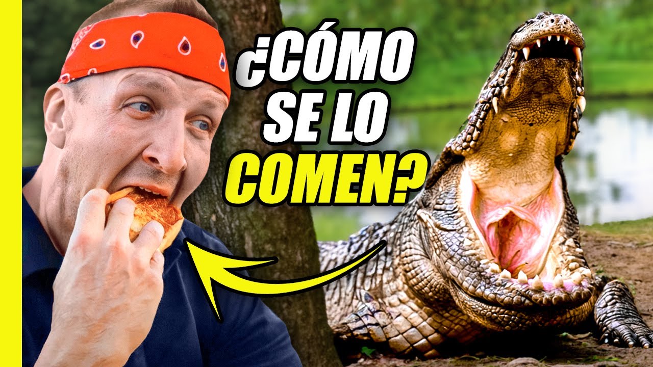 ¡VIETNAM EXTREMO! 24 HORAS COMIENDO COLAS DE ANIMALES !!