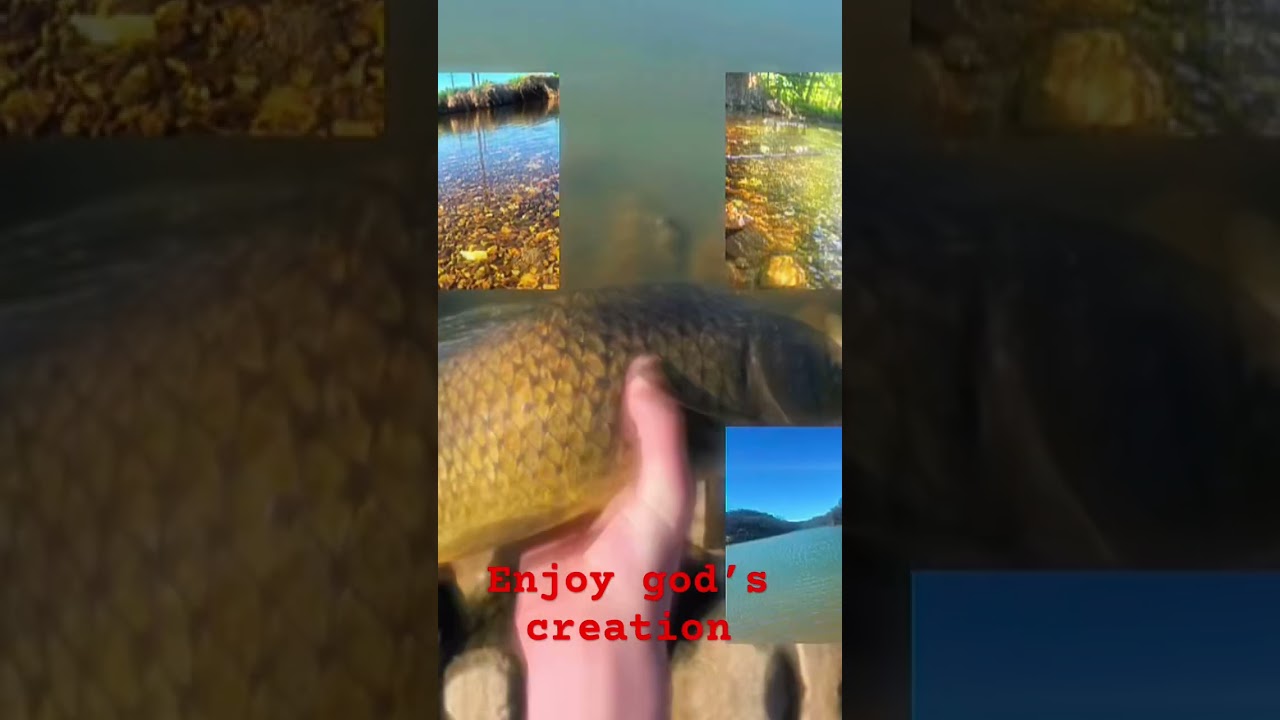 Enjoy gods creation✝️ #christian #god #nature