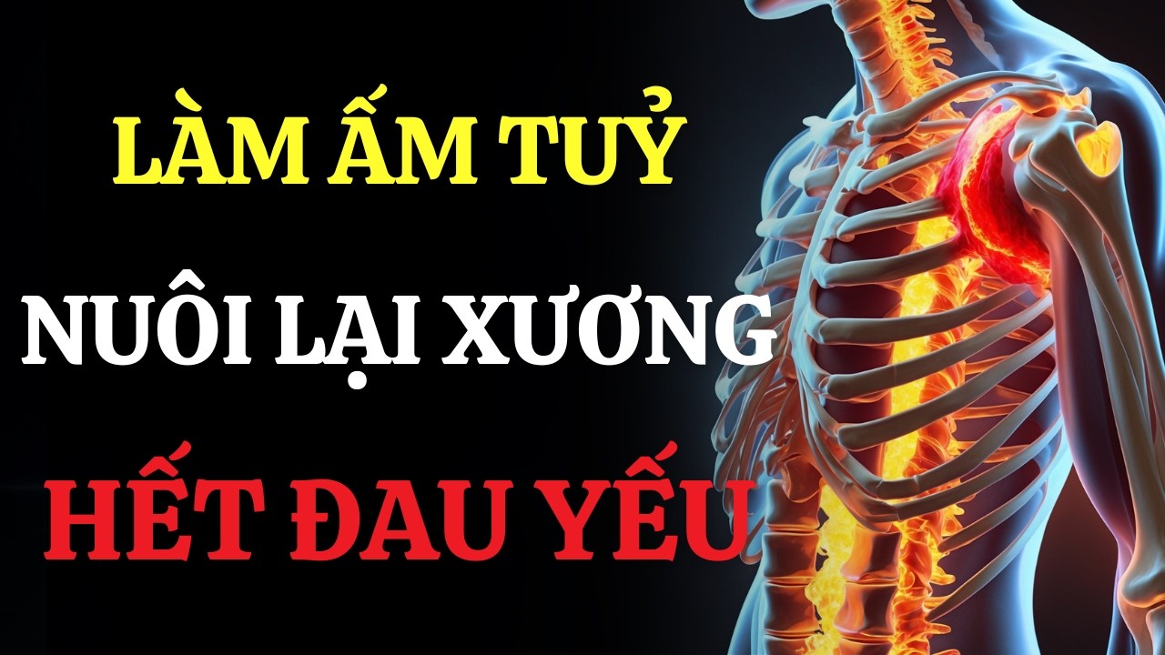 Vì Sao Xương Càng Ngày Càng Cứng Và Đau? Cách Nuôi Lại Tủy Xương Từ Gốc Giảm Đau Xương Khớp Tự Nhiên