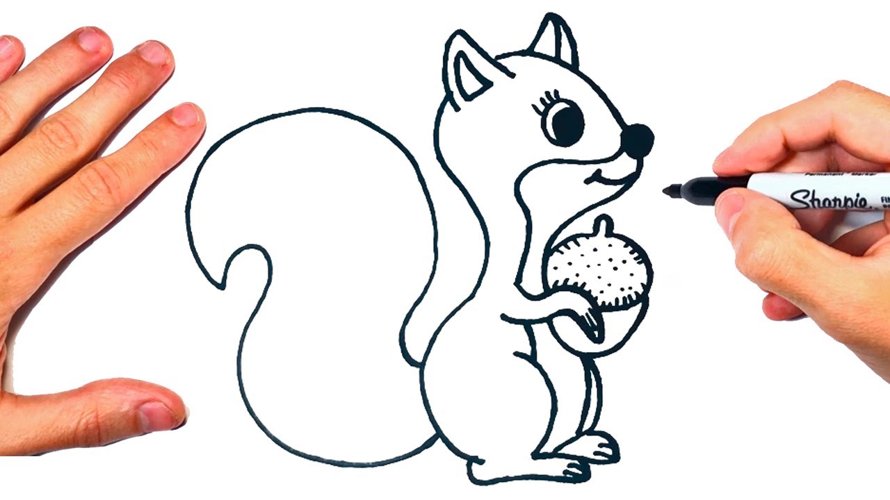 Como dibujar una Ardilla