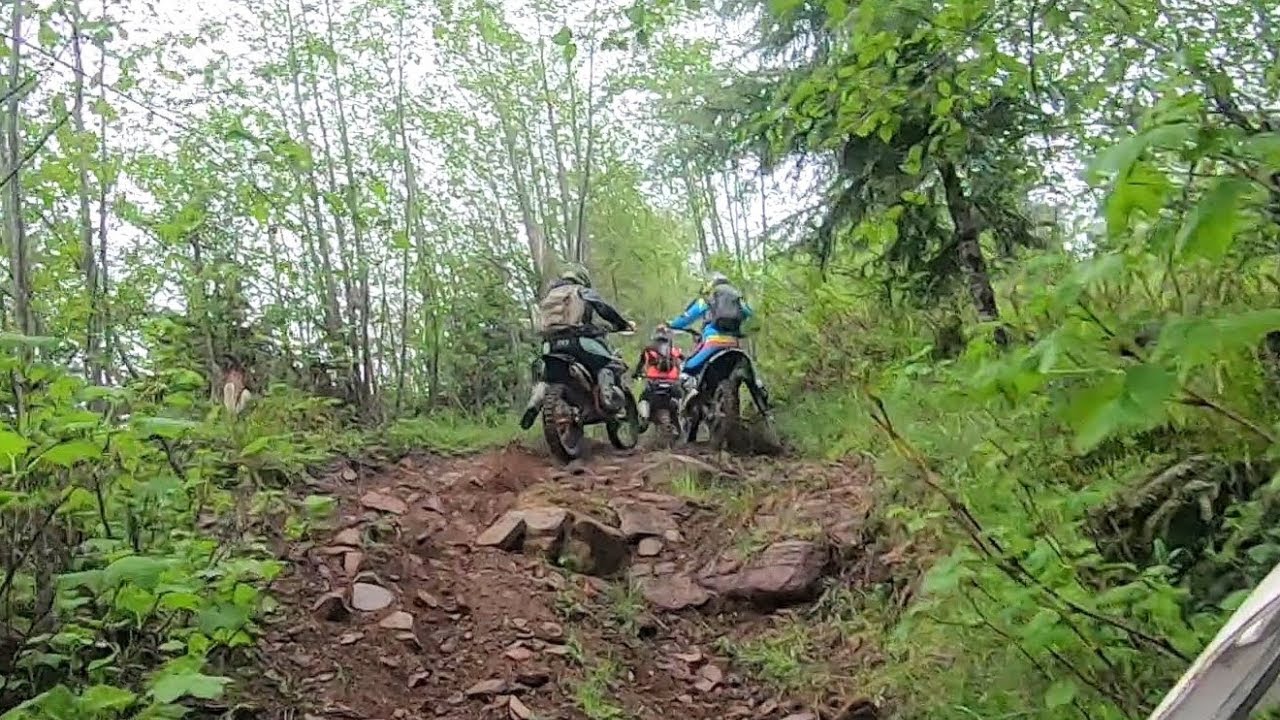 World's Best SingleTrack? - Tillamook State forest - Pacific Northwest