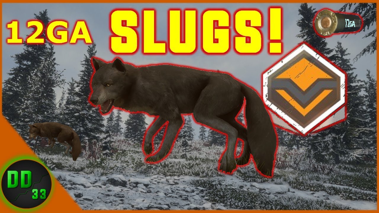 WOLF HUNTING with the 12GA SLUGS in Call Of The Wild!!  *DIAMOND WOLF*