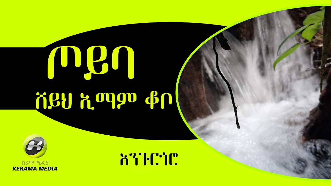 ጦይባ ሸይህ ኢማም ቆቦ teyba  (arbamich ethiopian nature