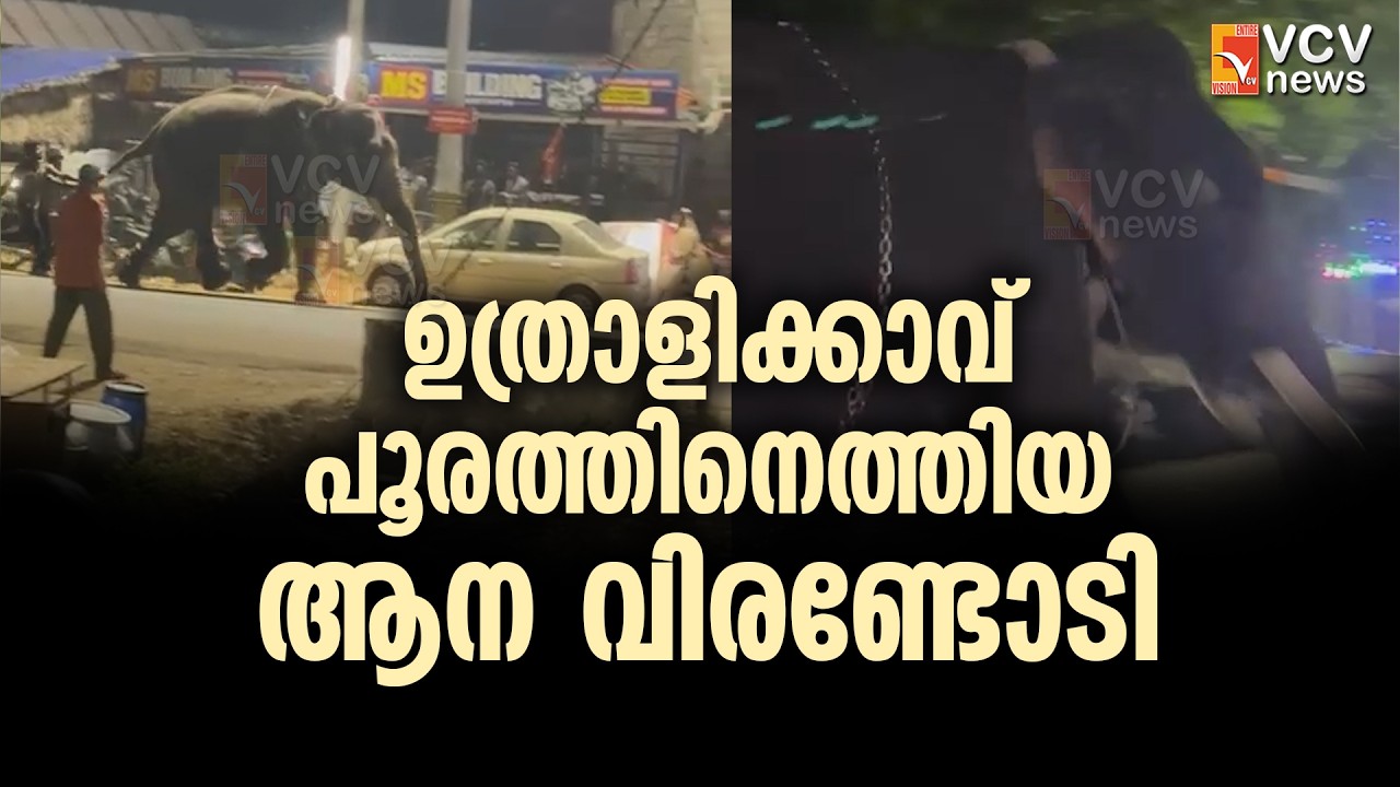 ഉത്രാളിക്കാവ് പൂരത്തിനെത്തിയ ആന വിരണ്ടോടി