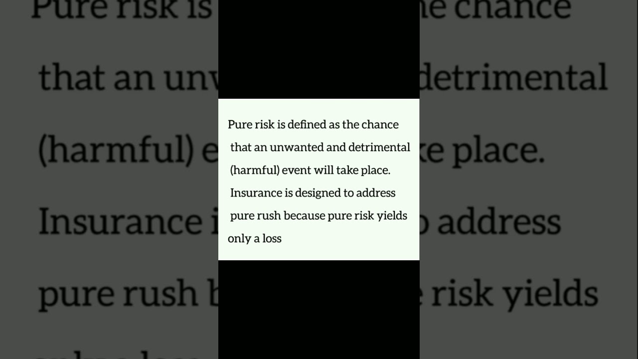Pure risk & speculative risk💯 |cma usa part 2|