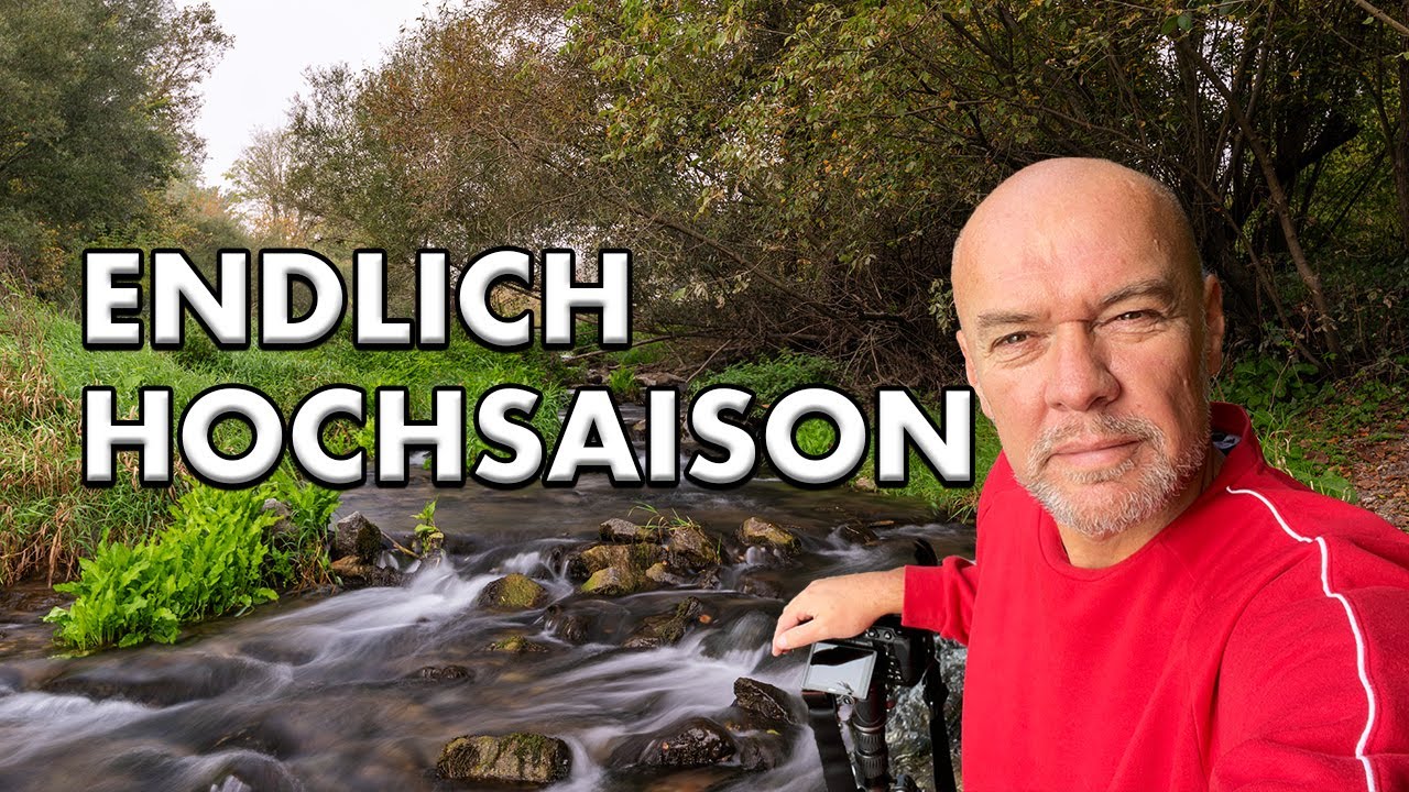 LANDSCHAFTSFOTOGRAFIE mit dem WEITWINKELOBJEKTIV | Bunte Bl&auml;tter - rauschendes Wasser