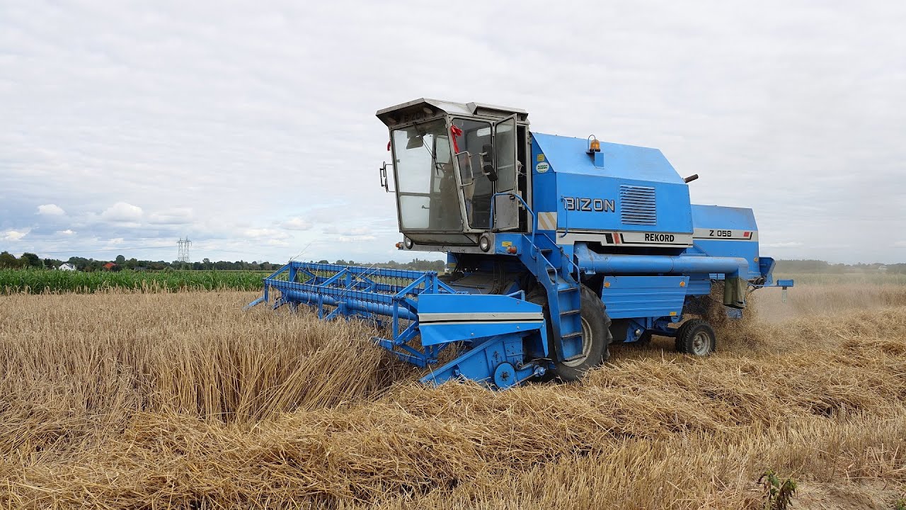 Żniwa 2025 cz.16 - Bizon Rekord Z058