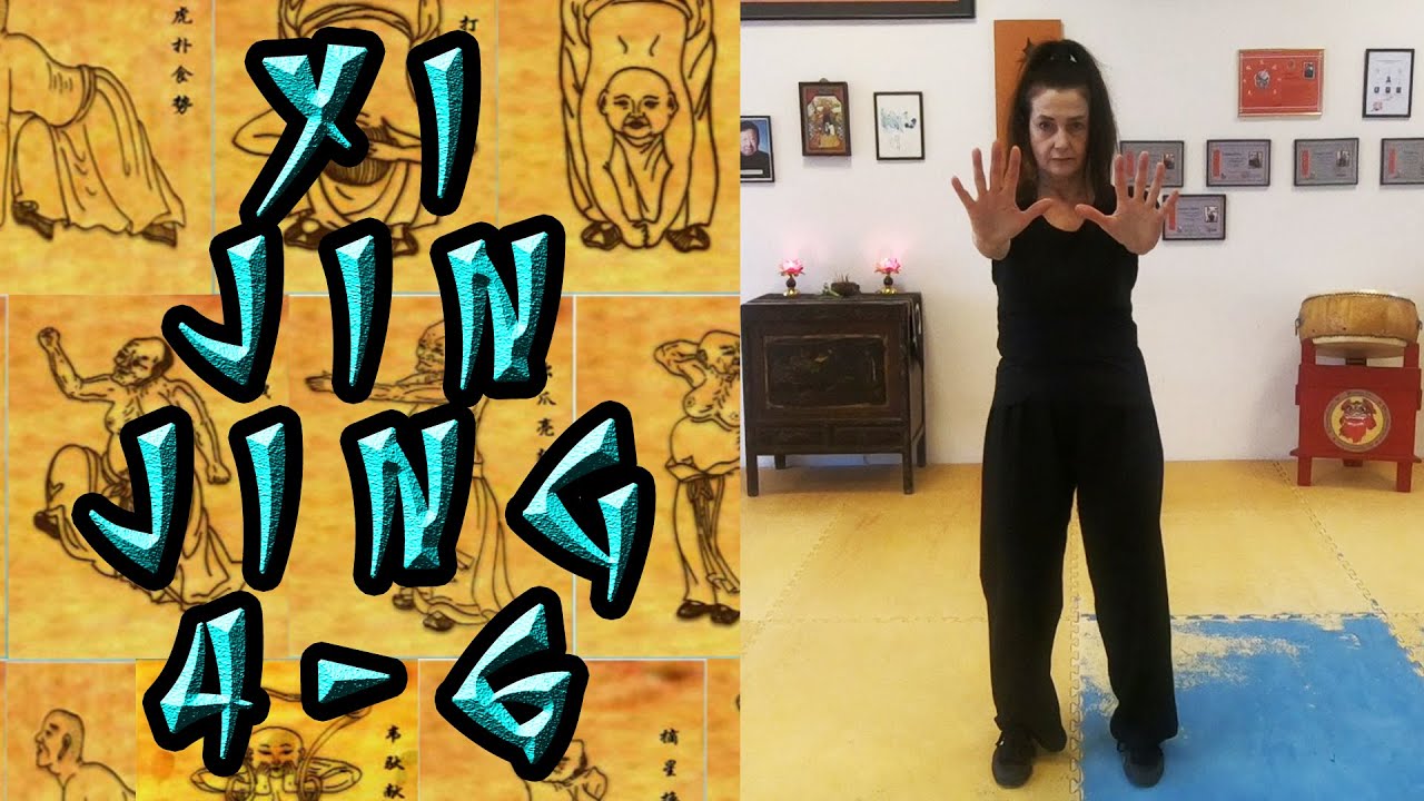Yi Jin Jing - Qi Gong 4-6 [ZUM MITMACHEN!]