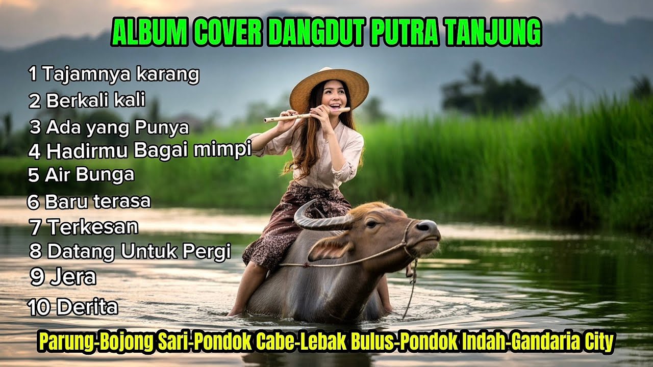 Album Cover Dangdut Terbaik Putra Tanjung,Tajamnya Karang,Ada Yang Punya,View Parung Bogor KeJakarta
