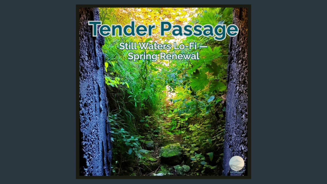 Tender Passage — Still Waters Lo-Fi — Spring Renewal