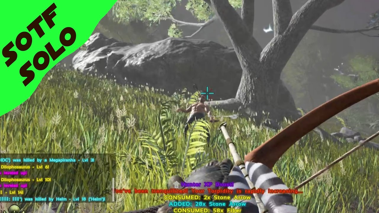 SotF Solo #079 - So kann´s gehen ◈ Gameplay German Deutsch Ark Survival of the Fittest