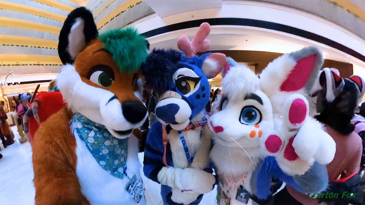 Midwest FurFest 2024 (MFF 2024) — случайные клипы