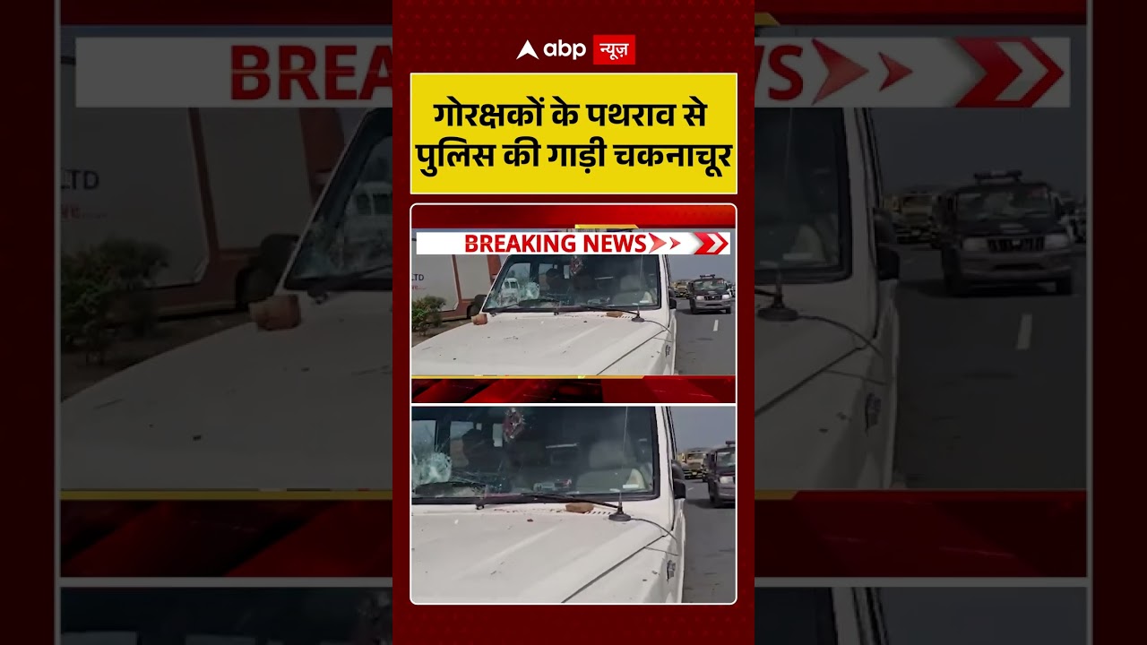 Gau Rakshak Mathura Murder: गोरक्षकों के पथराव से  पुलिस की गाड़ी चकनाचूर | #farsawalebaba