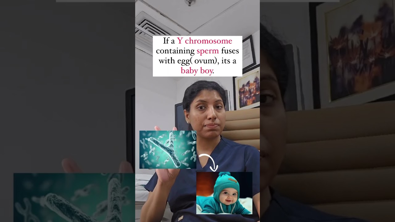 Boy or Girl? Can you influence the gender of baby ? 🩺 #trending #pregnant #babyboy #viral #short