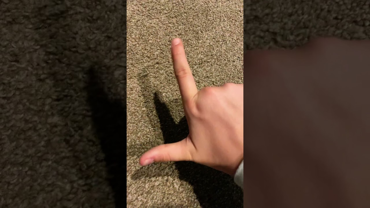 I love you in Sign language￼