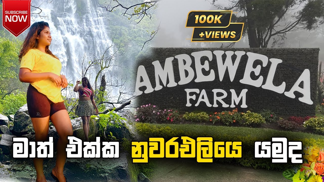 🎥✨ #Ambewela #BomburuElla #DINUVLOGS | මාත් එක්ක නුවරඑළියෙ යන්න එන්න! 🌄💧🇱🇰.