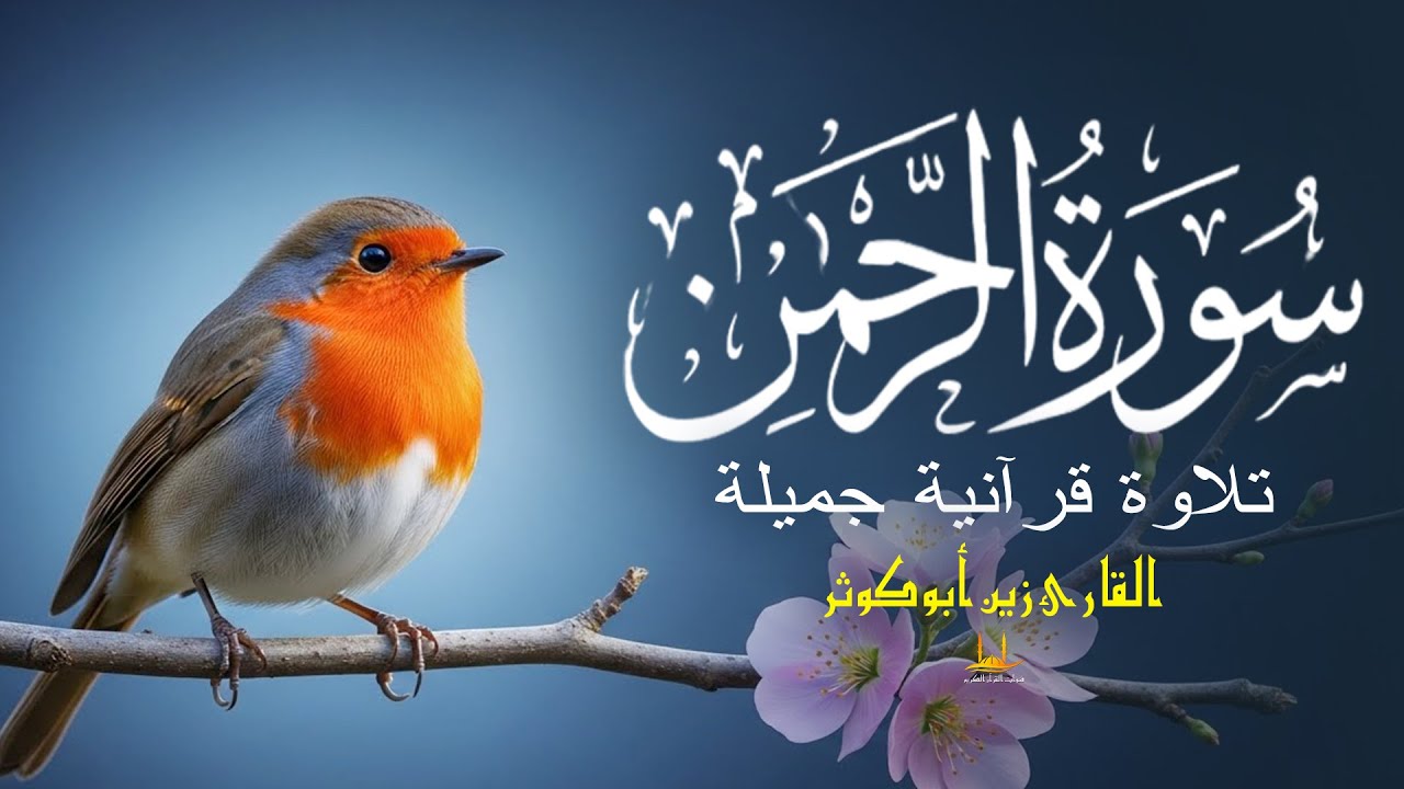 سورة الرحمن - (كامل) تلاوة تذيب القلوب - القارئ زين أبو كوثر