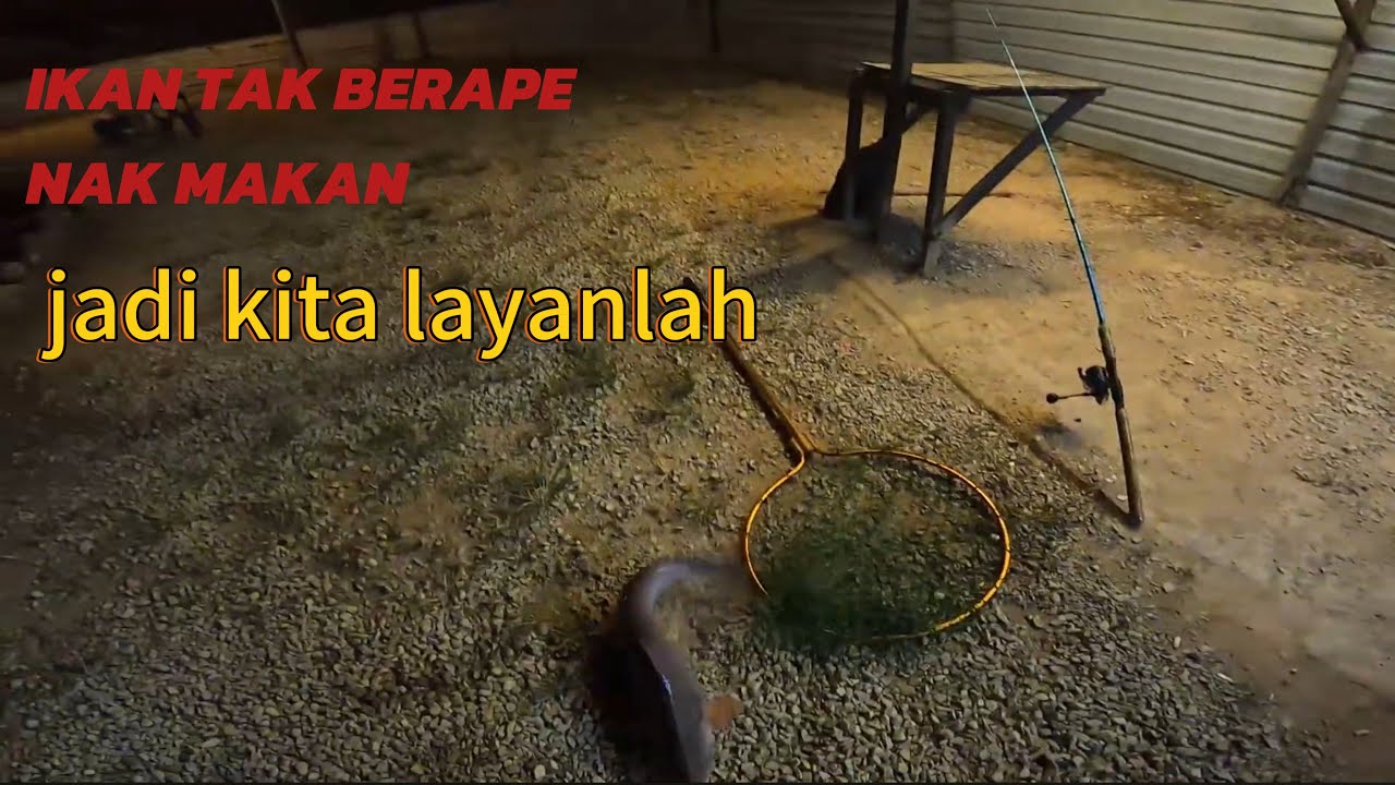 KITA MAIN PATIN KAT KOLAM METRO BATU PAHAT..