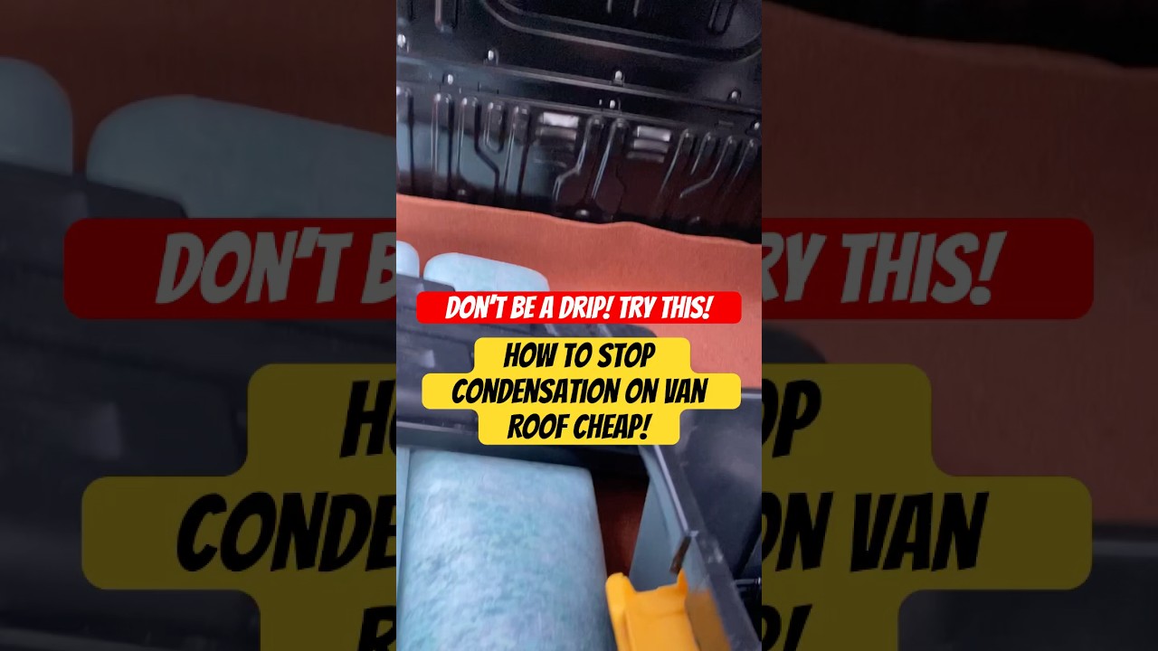 How to stop condensation on van roof for cheap. Very effective method.