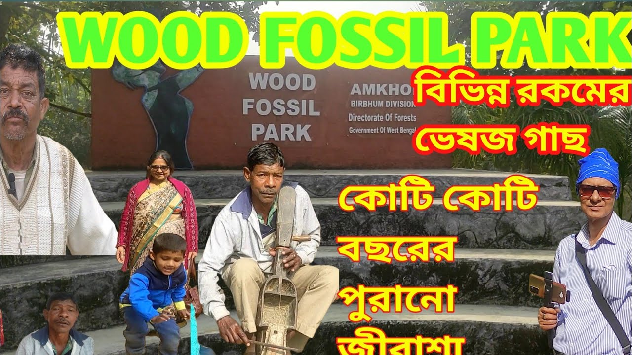 WOOD FOSSILS PARK | OFFBEAT BOLPUR|অজানা তথ্য সম্বলিত |