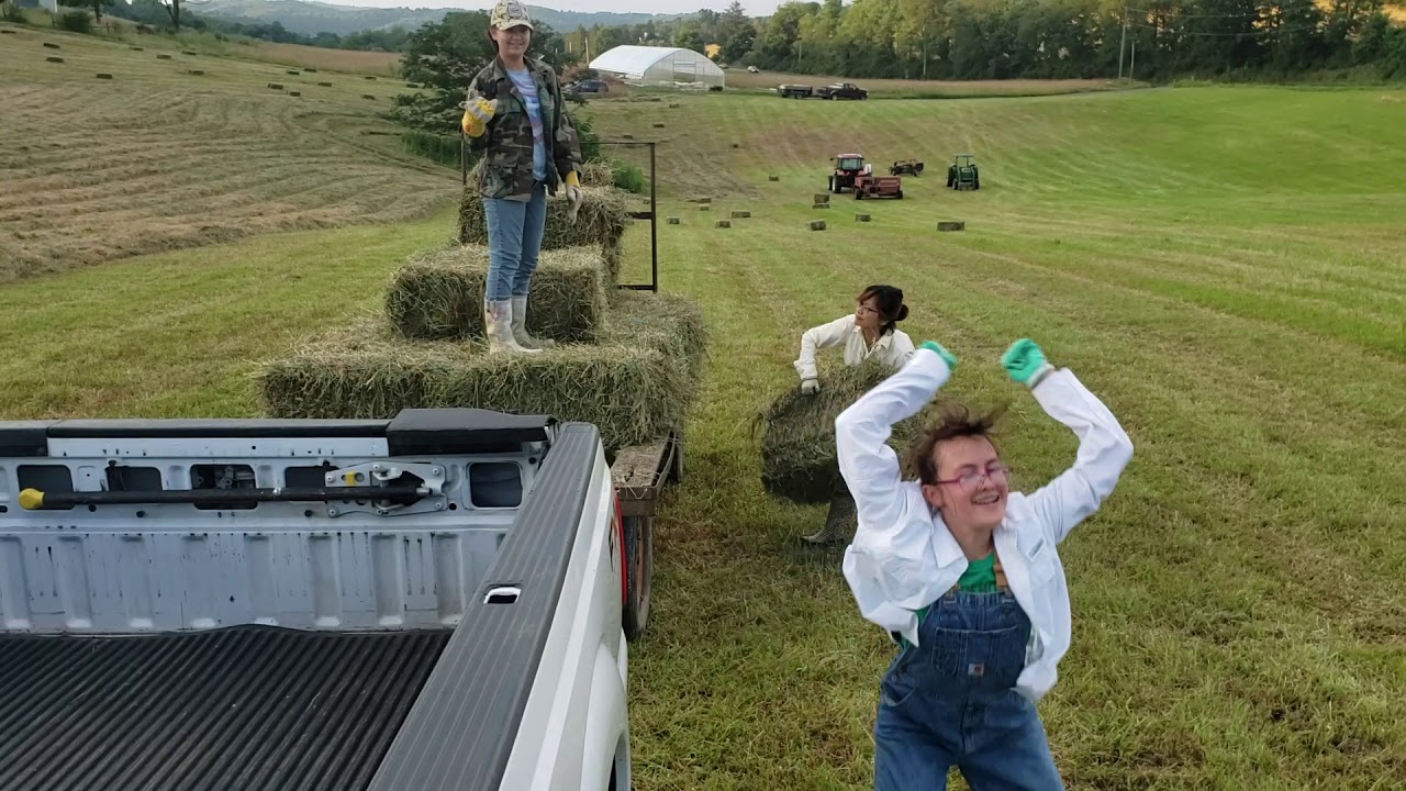 Loading hay bales on the wagon