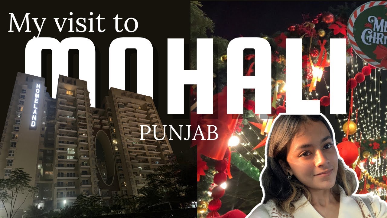 Never seen a mall so empty! | VR Punjab Mall | Mohali | Travel Vlog | 04 