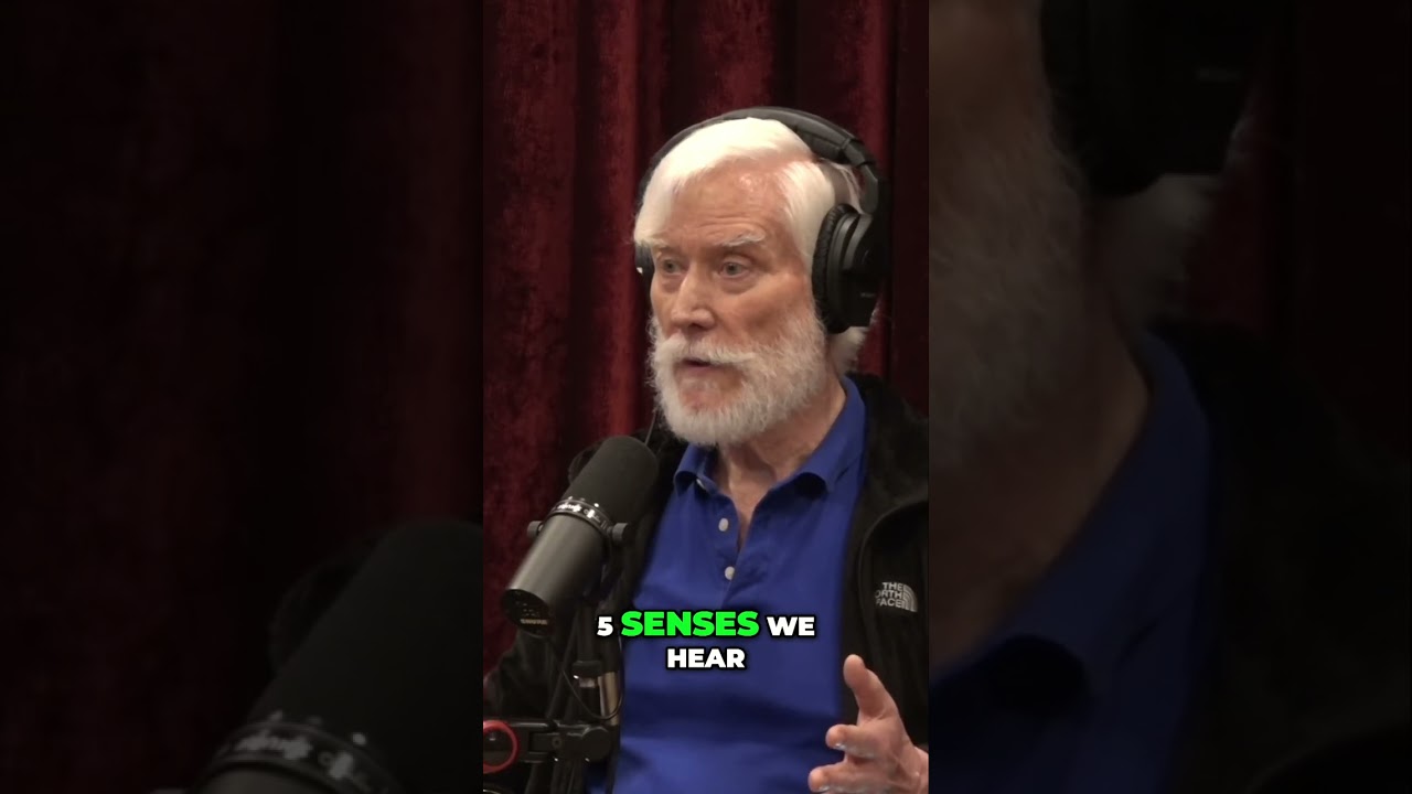 Consciousness Explained Simply: Awareness + Choice