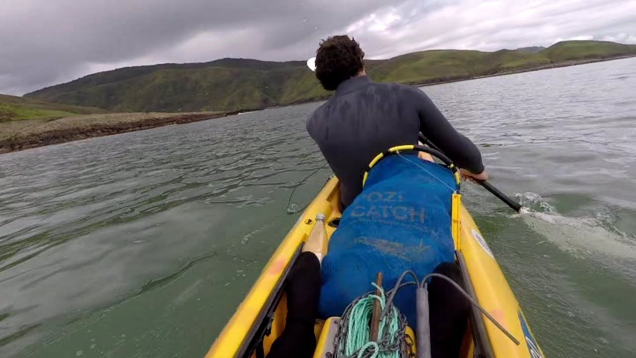 Free diving the wild west coast of Northland, New Zealand