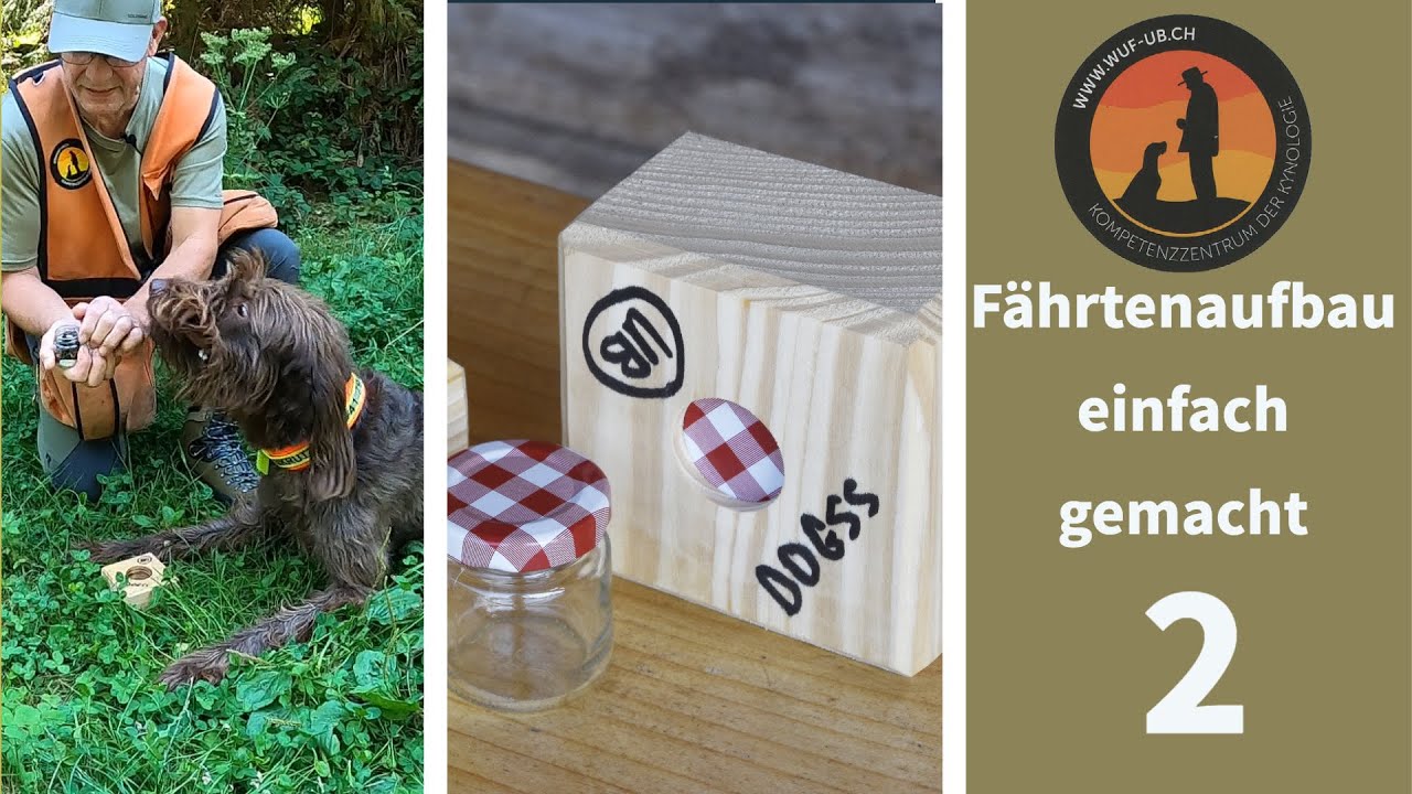 Verweisen mit DOGSS als Belohnung auf der Fährte | Hundeschule U.B.