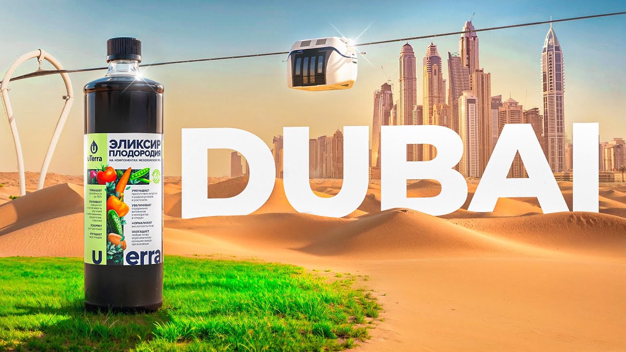 Is Dubai going to be green? New transport mode | SWC community